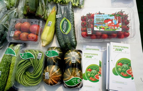 北京市優(yōu)質(zhì)農(nóng)產(chǎn)品擁有數(shù)字身份證 茶葉種植的質(zhì)量安全新保障